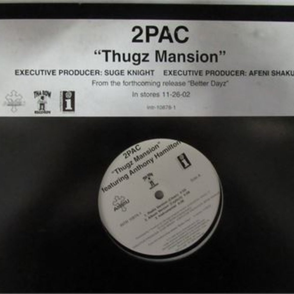 2PAC "Thugz Mansion" + "Until the End of Time" Pre-release promo